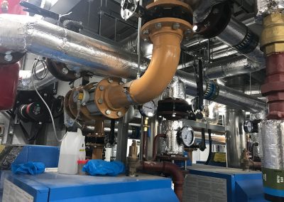 Plantroom at Cygnet Healthcare